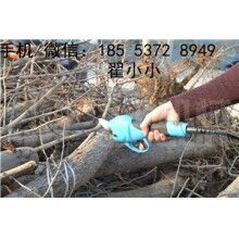 全自動(dòng)修枝剪，高效又省力