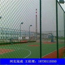 河北體育場(chǎng)圍網(wǎng) 球場(chǎng)圍網(wǎng)規(guī)格